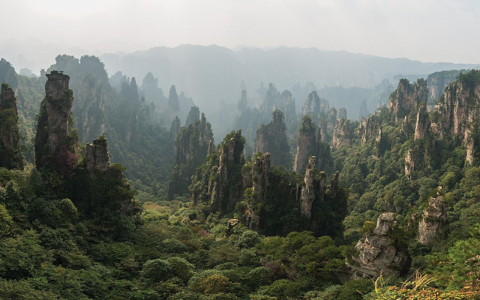 Panorama of the pillar forest from Tianzi Mountain, Wulingyuan